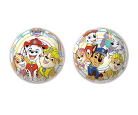Ball "Paw Patrol" 22 cm