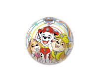 Ball "Paw Patrol" 22 cm